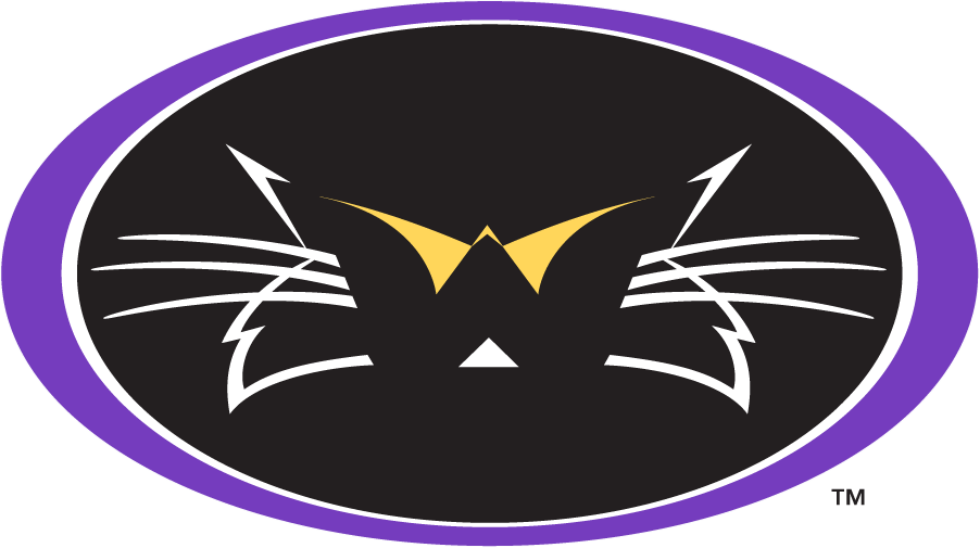Western Carolina Catamounts 1996-2003 Secondary Logo v2 iron on transfers for T-shirts
